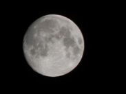 DSCN1406